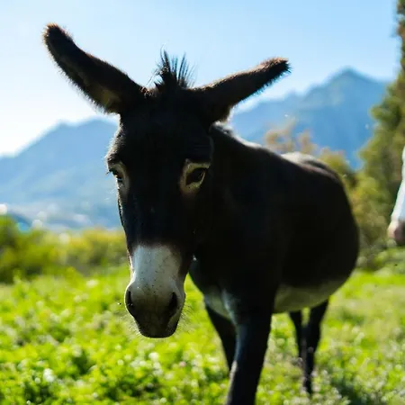 Couette-café Montebello 3*